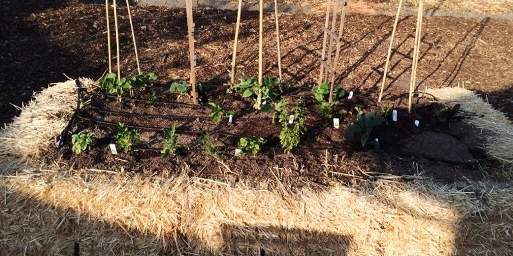 Idea: Straw Bale Garden Bed; Santa Rosa, CA