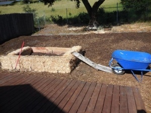 Garden-Ramp-Crop