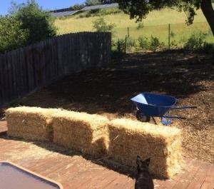 Setting-Bales-Crop