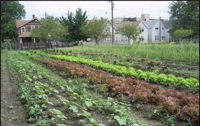 Stanard Farm in Cleveland, OH