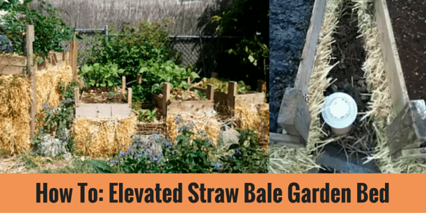 Idea: Marvelous Elevated Straw Bale Garden Bed Design