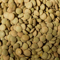 8th & Bee - Lentils