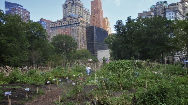 4 All-Star Urban Agriculture Cities We’re Watching in 2016