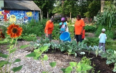 D-Town Farm in Detroit, MI