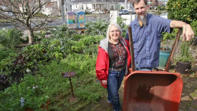 In the News: Petalumans share a plentiful bounty at 8th & Bee Homestead