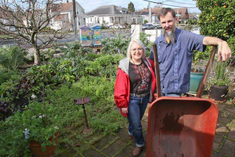 In the News: Petalumans share a plentiful bounty at 8th & Bee Homestead