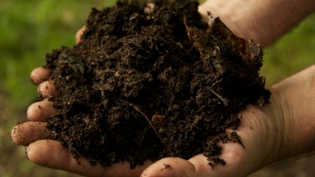 What’s the Future of Soil and Compost in the North Bay?