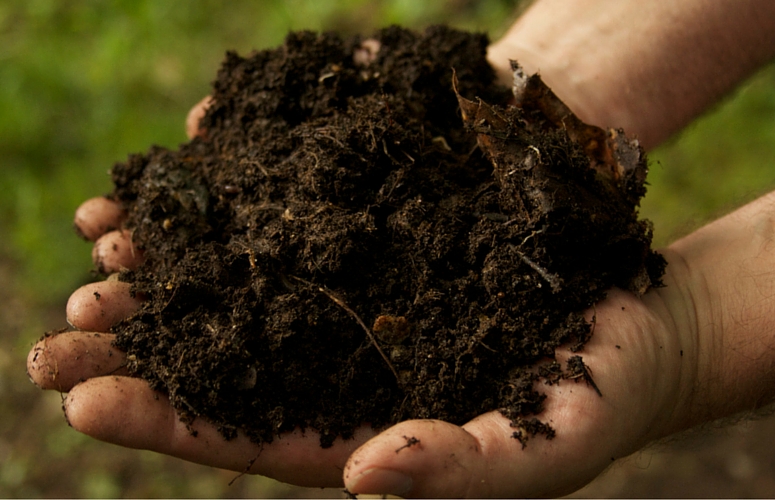 What’s the Future of Soil and Compost in the North Bay?