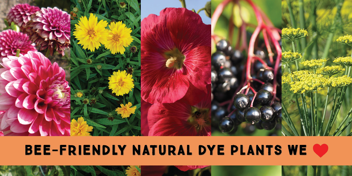 Try these bee-friendly natural dye plants