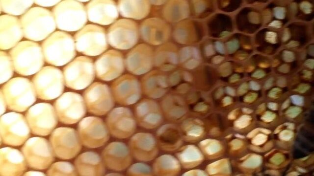 2017-04-06 09:31:35