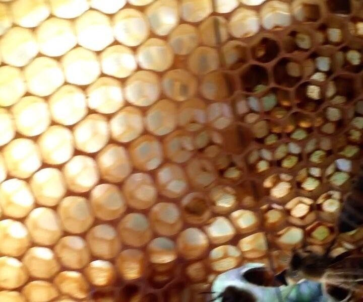 2017-04-06 09:31:35