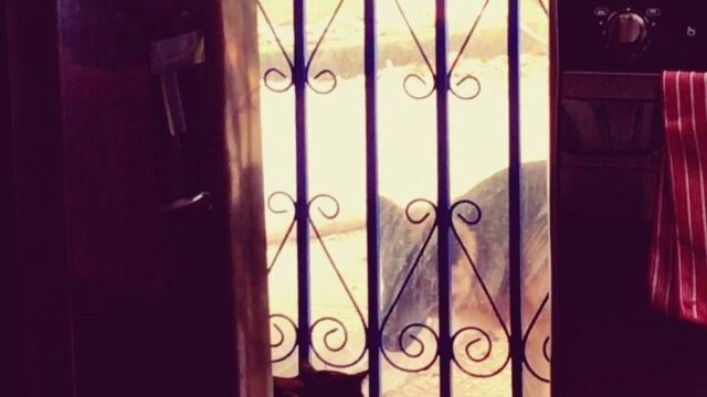 2017-06-25 07:03:12