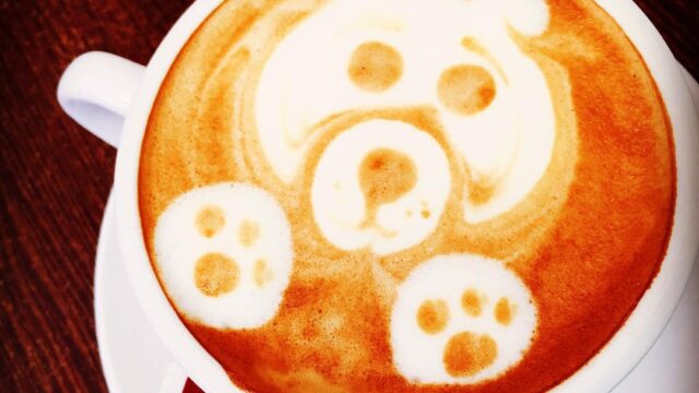 2017-07-26 05:41:44