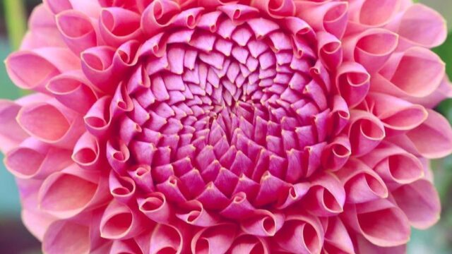 2017-10-25 14:22:04