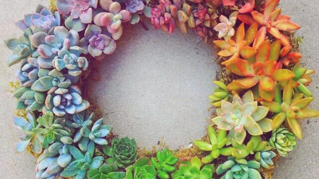 2017-12-23 16:54:42