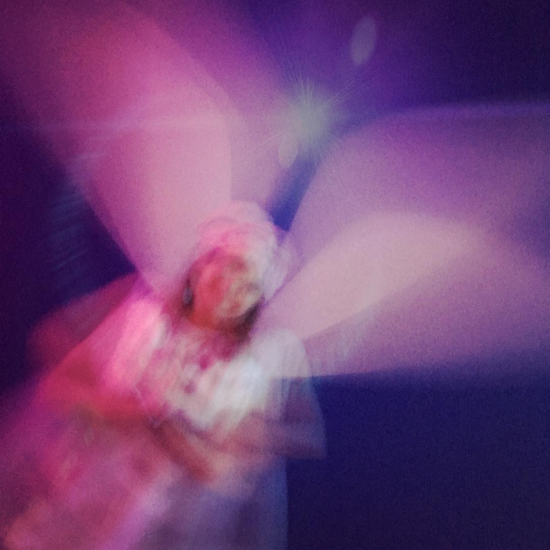 2018-12-28 07:05:12